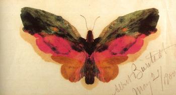 Albert Bierstadt : Butterfly